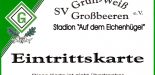 Testspiel 05.07.2015 SV Gruen-Weiss Grossbeeren - Energie.jpg