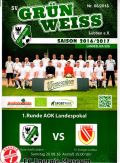 FLB-Pokal 1. Hauptrunde 20.08.2016 SV Gruen-Weiss Luebben - Energie.jpg