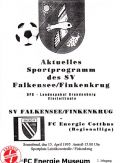 FLB-Pokal Viertelfinale 15.04.1995 SV Falkensee-Finkenkrug - Energie.jpg